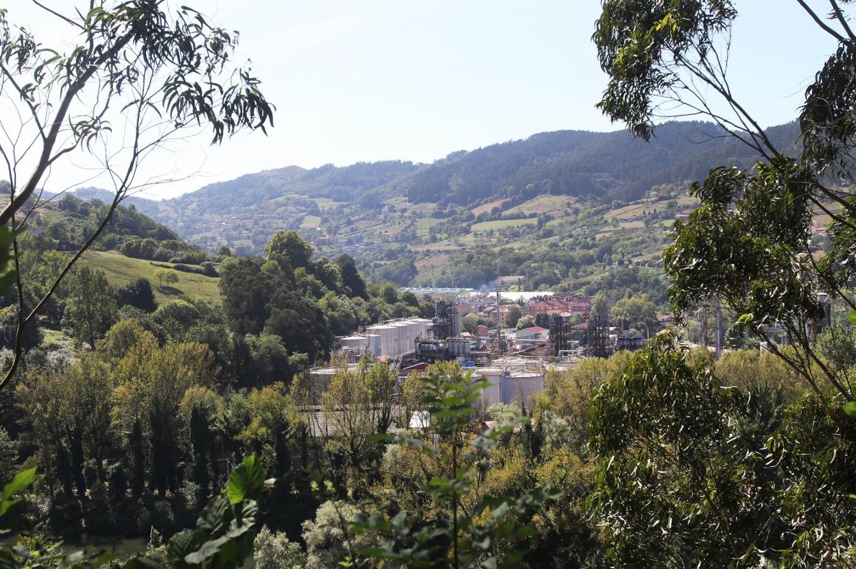 Instalaciones de Química del Nalón, en Trubia, una de las empresas perjudicadas por el estatuto de electrointensivas. 