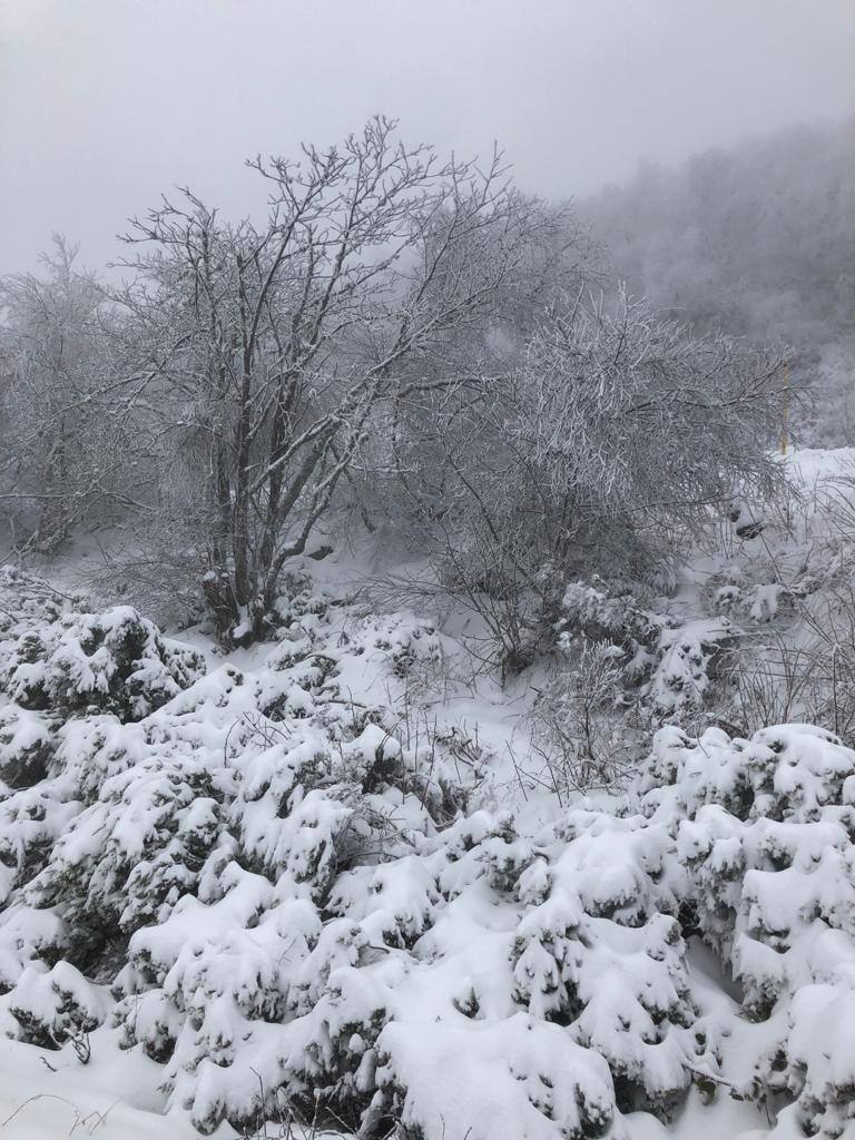 La nieve caída ha dejado varios puertos con cadenas