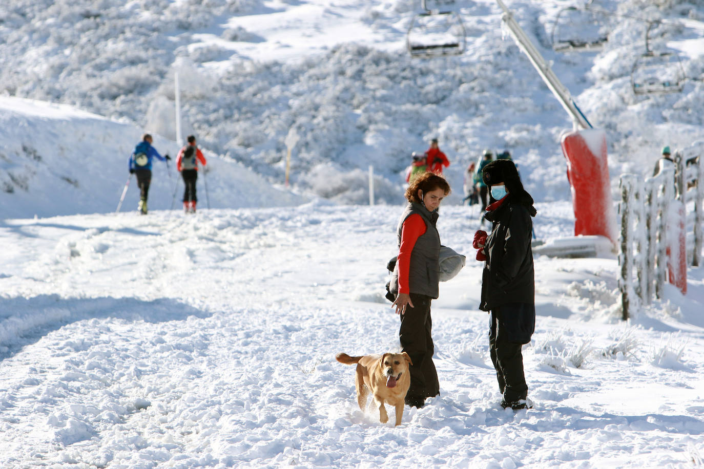 La instalaciones invernales de Asturias continúan cerradas. Igualmente, los amantes del esquí acudieron este sábado a disfrutar de un día soleado.