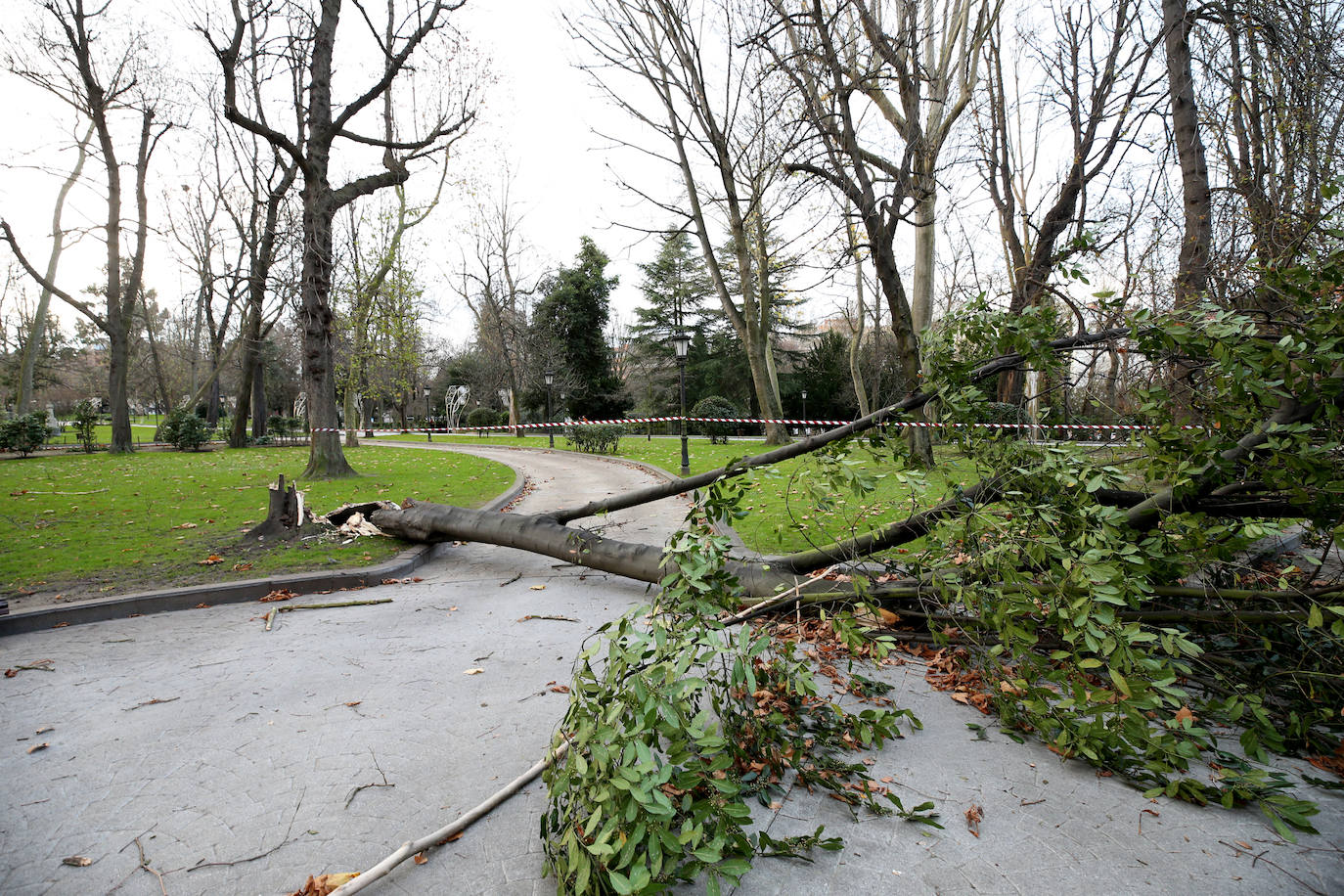 La borrasca 'Bella' que azota la cornisa Cantábrica deja rachas de hasta 110 kilómetros por hora y olas de diez metros en la región.