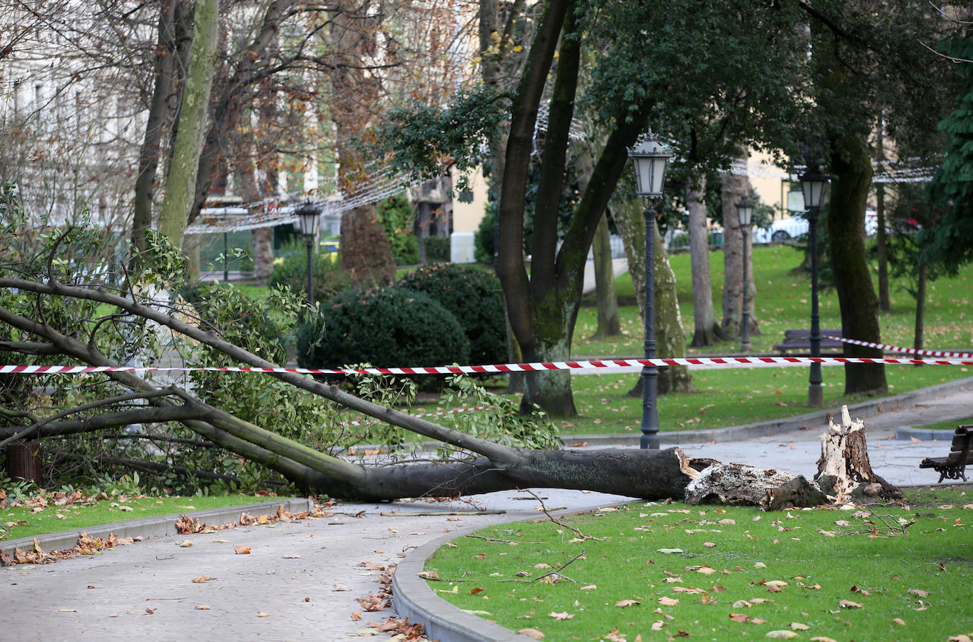 La borrasca 'Bella' que azota la cornisa Cantábrica deja rachas de hasta 110 kilómetros por hora y olas de diez metros en la región.