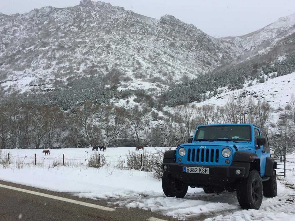 La borrasca 'Bella' ha provocado más de 1.900 incidencias en Asturias y complica las comunicaciones. La nieve acumulada en las últimas horas, que ha cerrado el puerto del Connio, obliga a usar cadenas en 15 altos de montaña. Los fuertes vientos han procovado la caída de árboles y la Aemet mantiene el litoral del Principado en alerta roja por olas de hasta diez metros 