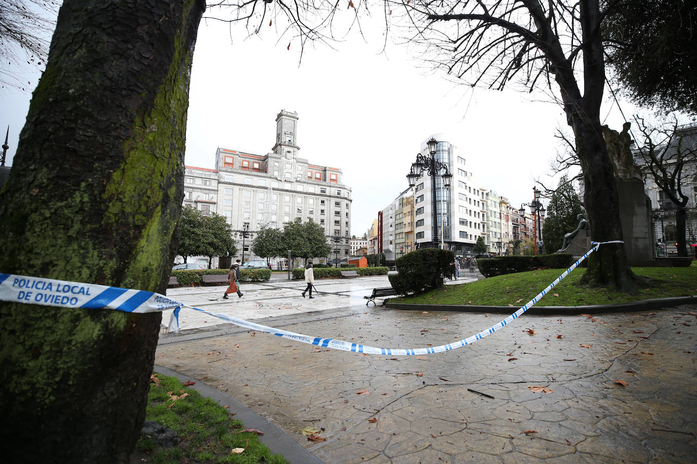 La borrasca 'Bella' ha provocado más de 1.900 incidencias en Asturias y complica las comunicaciones. La nieve acumulada en las últimas horas, que ha cerrado el puerto del Connio, obliga a usar cadenas en 15 altos de montaña. Los fuertes vientos han procovado la caída de árboles y la Aemet mantiene el litoral del Principado en alerta roja por olas de hasta diez metros 