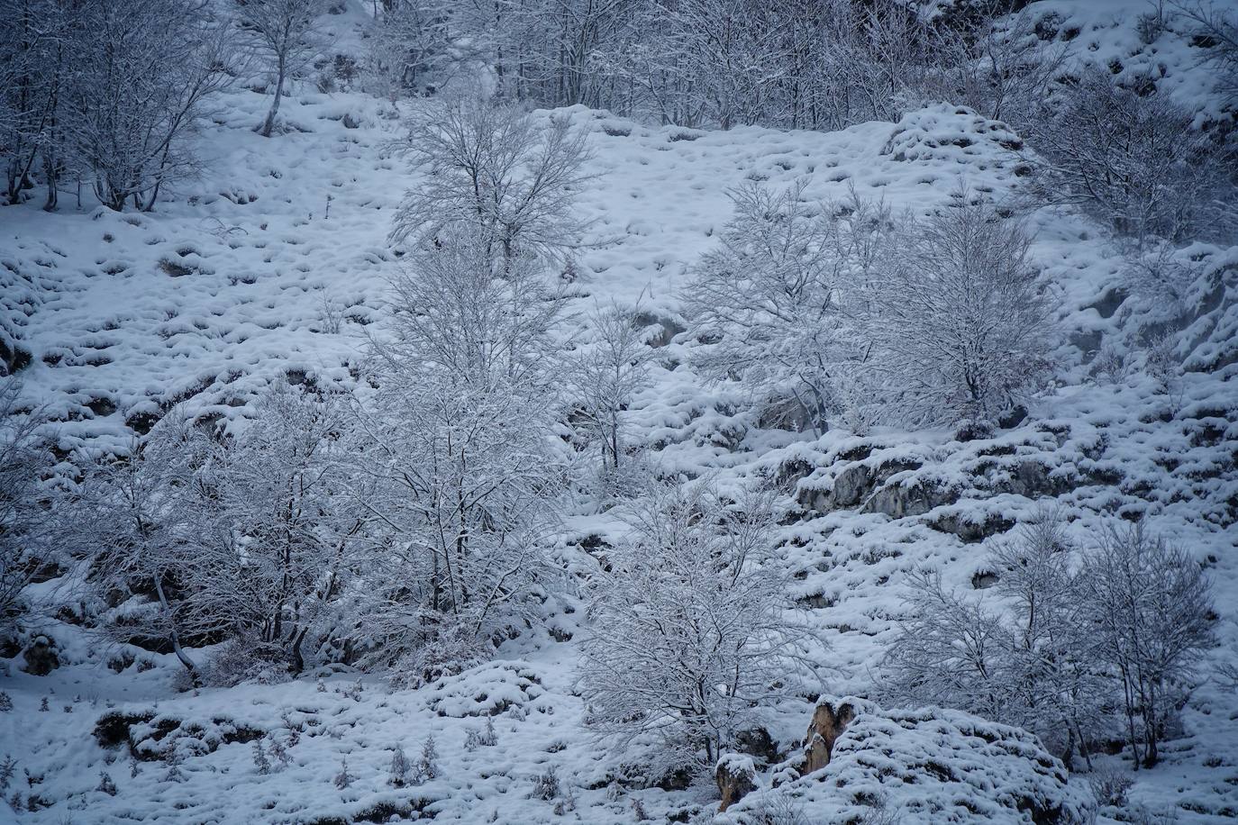 El frío y las fuertes precipitaciones volvieron a ser la nota predominante este martes en Asturias. Está previsto que durante las próximas horas remita el viento y el oleaje que ha castigado en los últimos días a la costa.