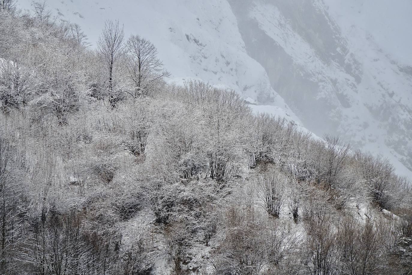 El frío y las fuertes precipitaciones volvieron a ser la nota predominante este martes en Asturias. Está previsto que durante las próximas horas remita el viento y el oleaje que ha castigado en los últimos días a la costa.