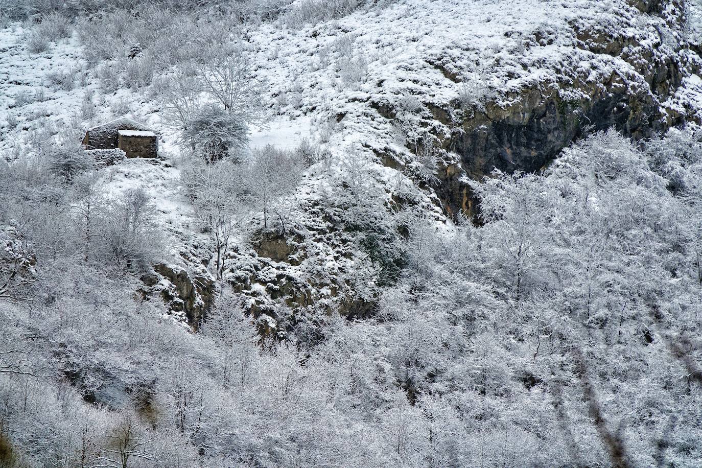 El frío y las fuertes precipitaciones volvieron a ser la nota predominante este martes en Asturias. Está previsto que durante las próximas horas remita el viento y el oleaje que ha castigado en los últimos días a la costa.