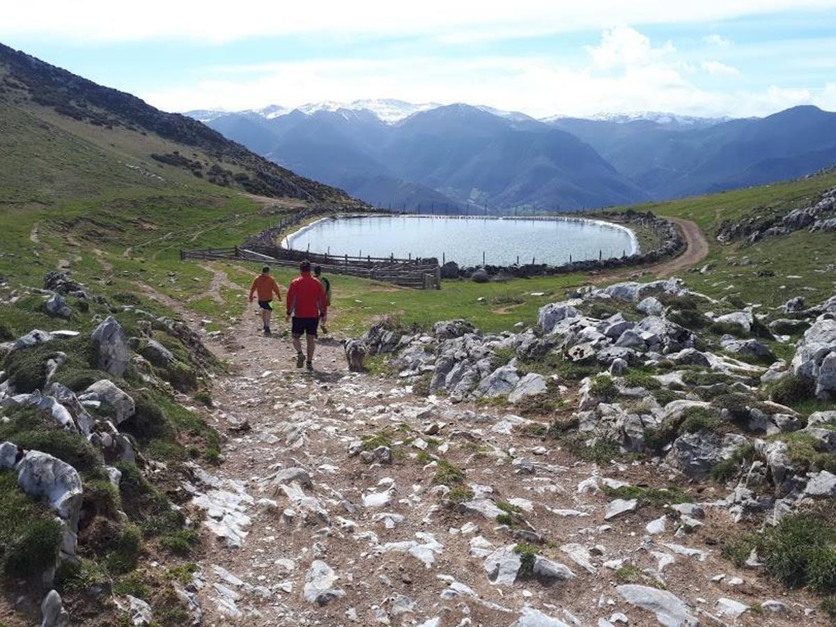 Ruta ermita del Cébrano- La Siella- Pico Barzanalgas : La Laguna del Sobia, las Brañas del Camín Real de la Mesa y los picos La Siella y Barzanalgas son algunos de los parajes que te deparará esta sencilla ruta en plena Sierra de Sobia. Una ruta que parte desde la Ermita de la Virgen del Cébrano y que primeramente te llevará por una cómoda pista de hormigón para después dar paso a un paisaje cada vez más montañoso entre praderías y caminos. Una caminata circular de unos 13 km que también te regalará las mejores vistas.