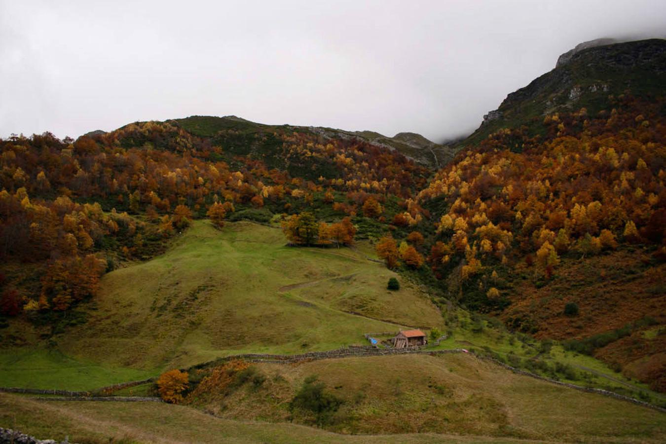 Ruta desde Río Aller al Puerto de Vegarada : Esta ruta es una de esas caminatas que sea la época del año que sea nunca deja de sorprender. En invierno el trayecto cambia esa mezcla de tonalidades marrones del otoño por una caminata repleta de árboles desnudos, un gran manto de hojas que cubre el suelo y el paisaje nevado que encontraremos al llegar al Puerto de Vegarada. Un recorrido de ida y vuelta marcado en todo momento y que en su mayoría transcurre por pista asfaltada en fuerte ascenso.