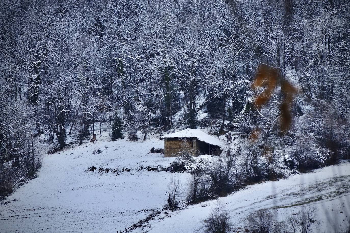 Temporal de frío y nieve en Asturias