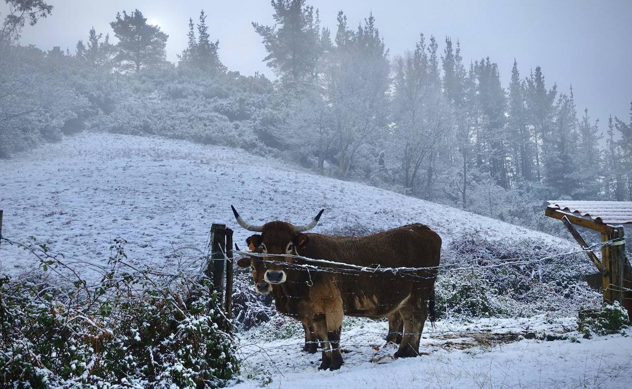 Este lunes la nieve ha mantenido cerrados doce puertos en Asturias