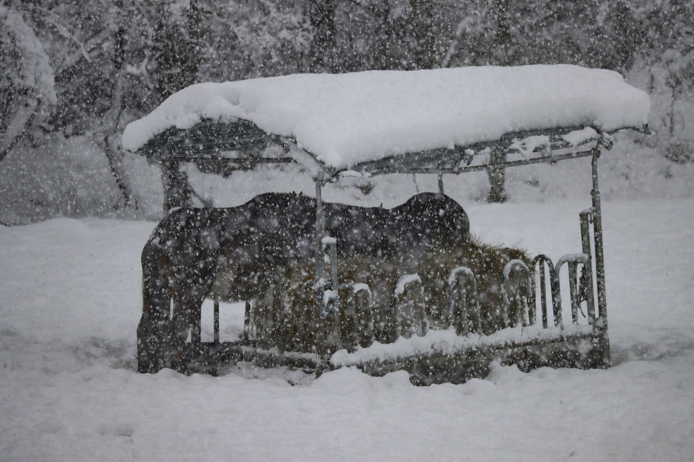 El implacable temporal de nieve no permite retomar la búsqueda del operario de la quitanieves desaparecido en el puerto de San Isidro. 