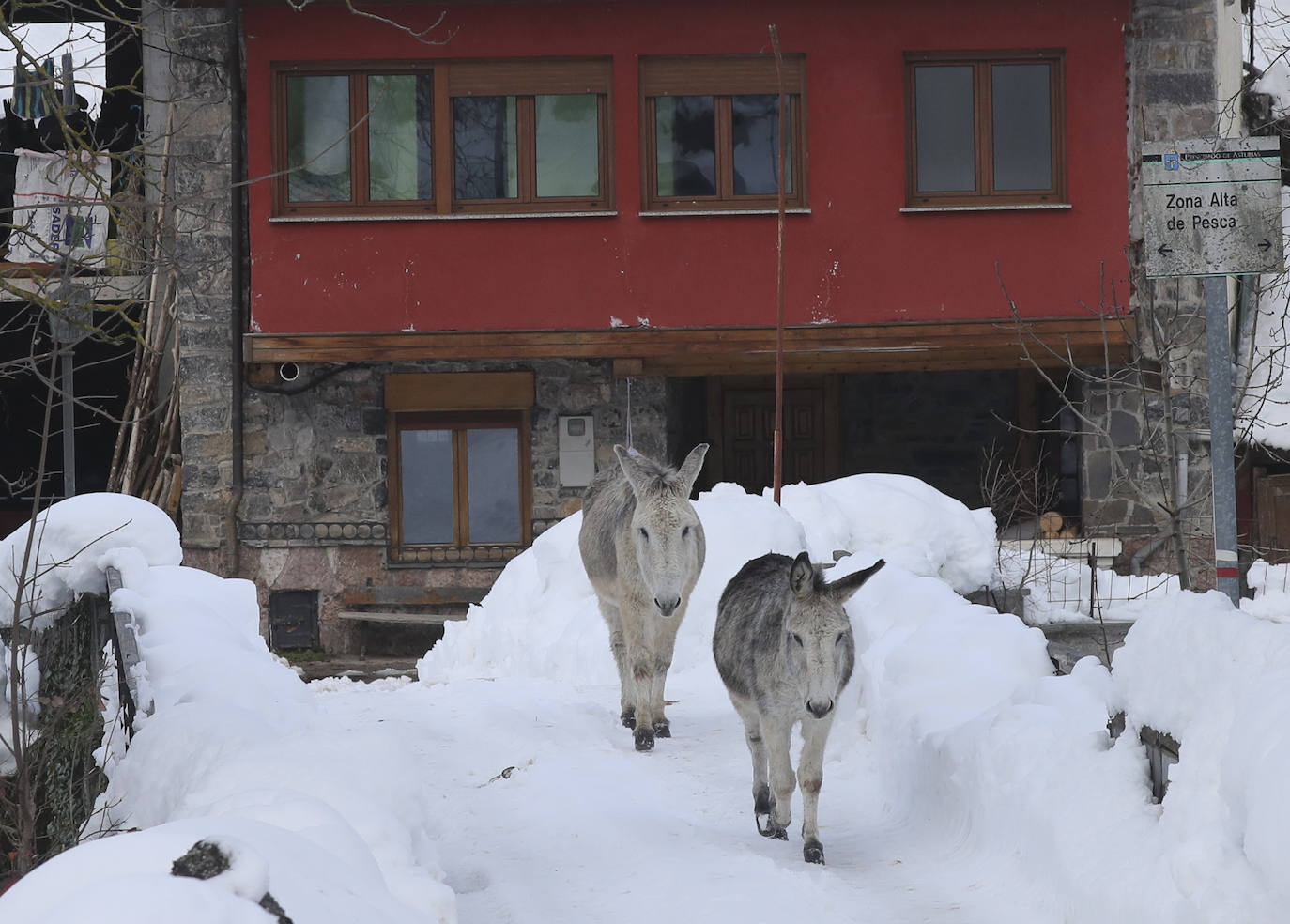 El temporal sigue sin dar tregua a Asturias. La Aemet ha decretato la alerta por las bajas temperaturas, que pueden llegar incluso a los -8ºC.