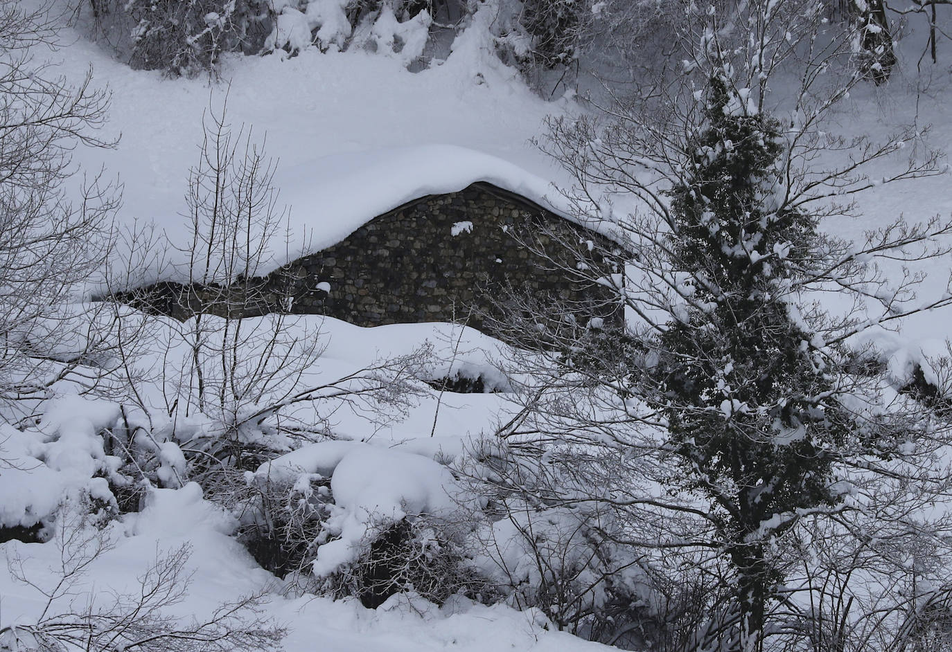 El temporal sigue sin dar tregua a Asturias. La Aemet ha decretato la alerta por las bajas temperaturas, que pueden llegar incluso a los -8ºC.