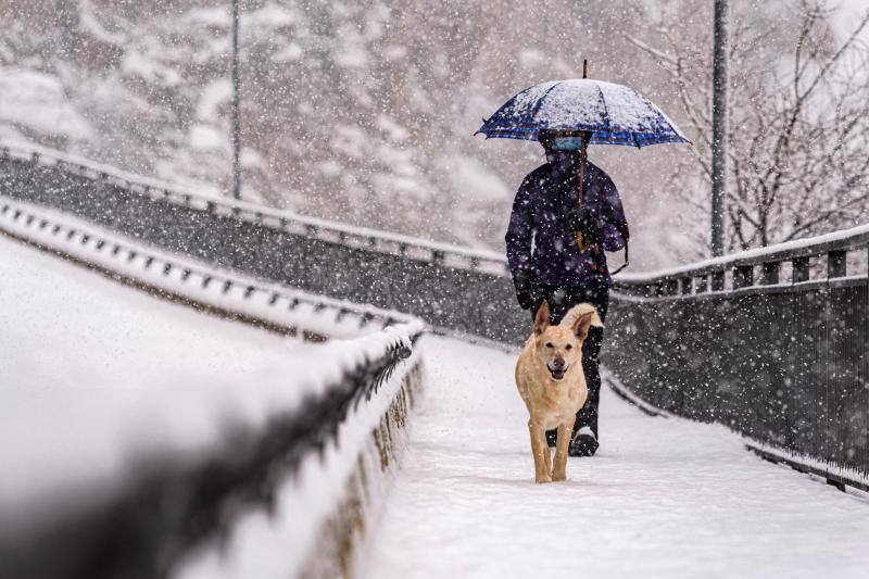 El temporal está dejando impresionantes nevadas en todo el país, desde Asturias a Murcia, pasando por Madrid o Valencia. 