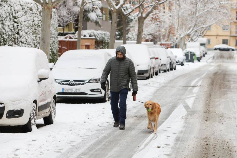 El temporal está dejando impresionantes nevadas en todo el país, desde Asturias a Murcia, pasando por Madrid o Valencia. 