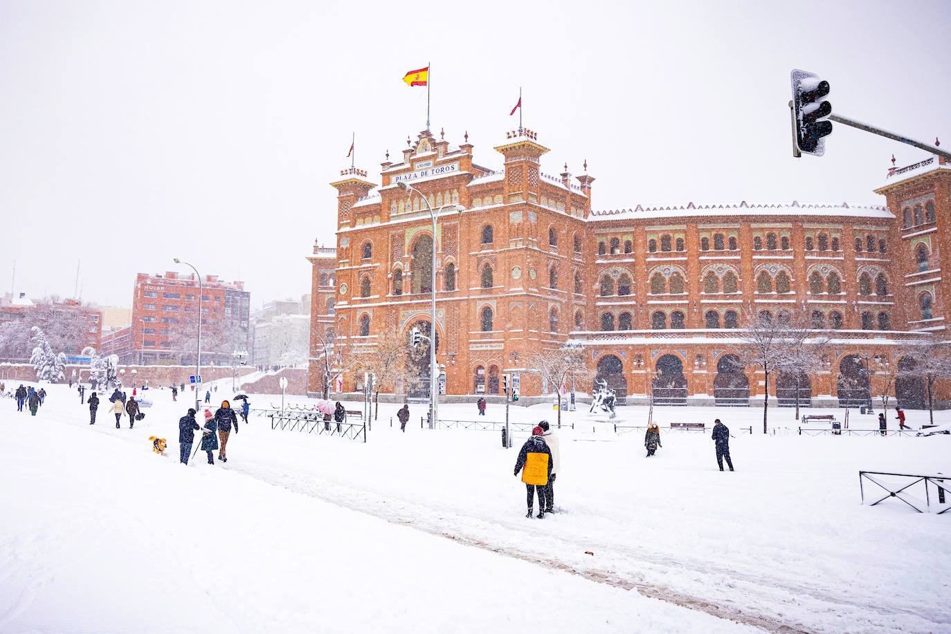El temporal está dejando impresionantes nevadas en todo el país, desde Asturias a Murcia, pasando por Madrid o Valencia. 