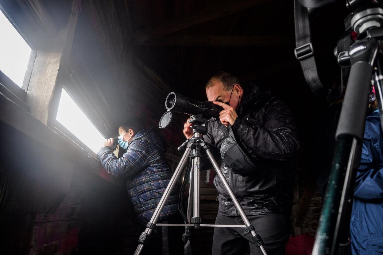  Miembros de Mavea avistando aves en el observatorio de la ensenada de Llodero un día de lluvia. 