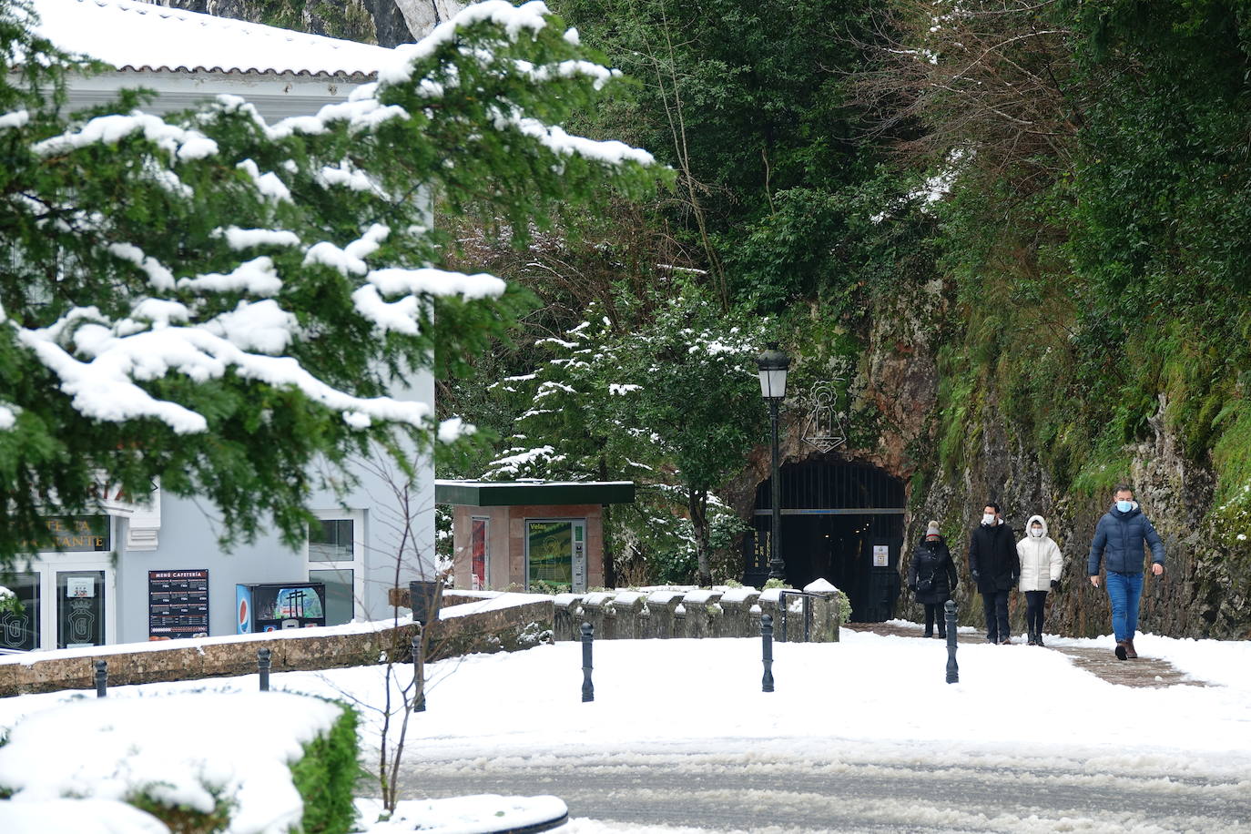 Las nevadas de los últimos días han llegado también hasta Covadonga que se ha cubierto de un manto blanco.