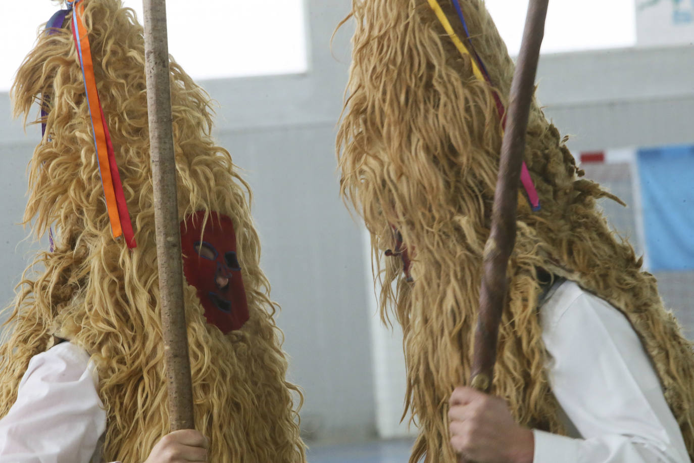 El Domingo de Sidros y Comedies ha vencido al coronavirus. El virus no logró frenar la tradicional representación sierenese, enmarcada dentro de 'les mazcaraes d'iviernu', y que volvió a azotar con su feroz crítica satírica a la actualidad política y sanitaria. Por primera vez en muchos años, las representaciones de los integrantes de la asociación El Cencerru, se celebraron sin público y debido a las condiciones climatológicas se trasladaron al Polideportivo Municipal de Valdesoto. 