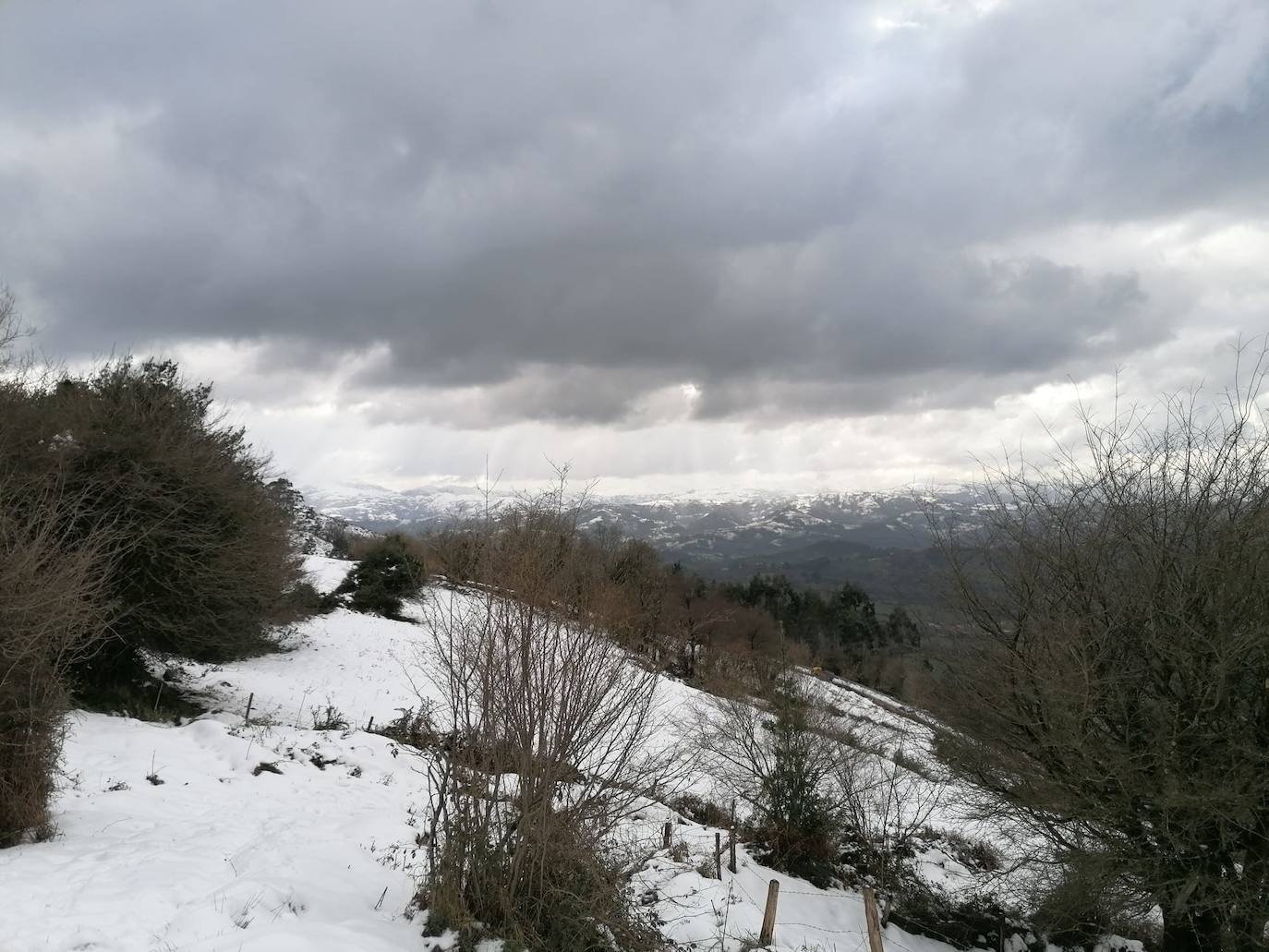 El 27 por ciento de las carreteras asturianas están cerradas o con cadenas y los escolares de cuarenta concejos no podrán volver a clase hasta el miércoles.