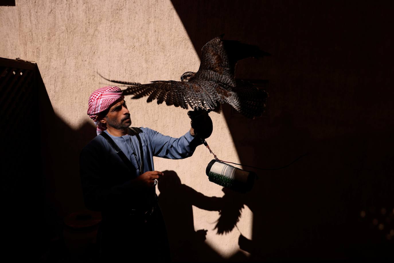 Las dunas de arena del desierto de Liwa, a unos 250 kilómetros del emirato del Golfo de Abu Dabi, es el lugar escogido por algunos aficionados a la cetrería para entrenar a los halcones. 