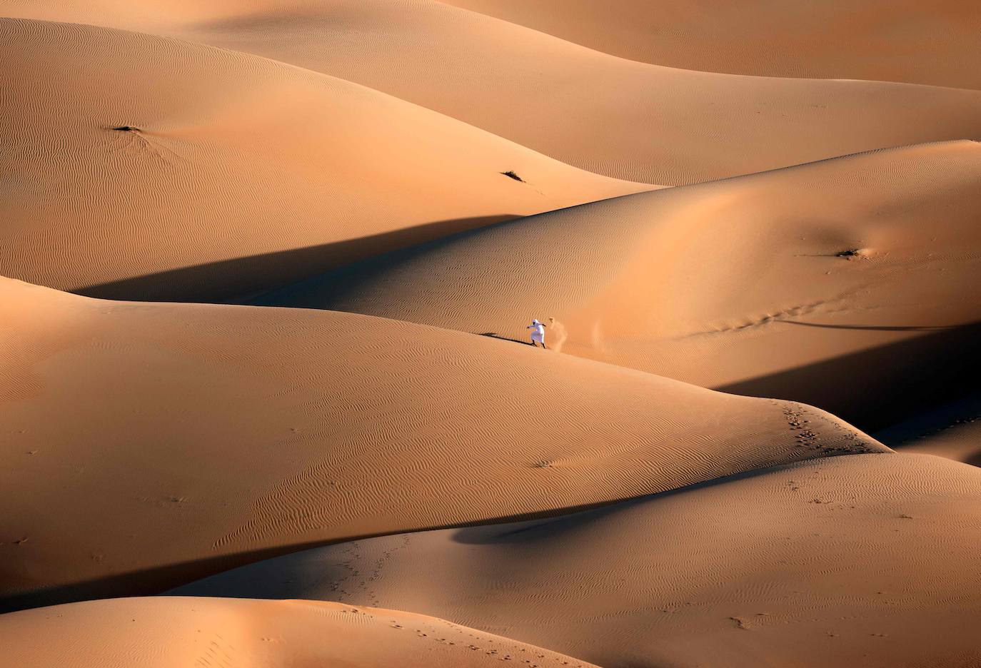 Las dunas de arena del desierto de Liwa, a unos 250 kilómetros del emirato del Golfo de Abu Dabi, es el lugar escogido por algunos aficionados a la cetrería para entrenar a los halcones. 