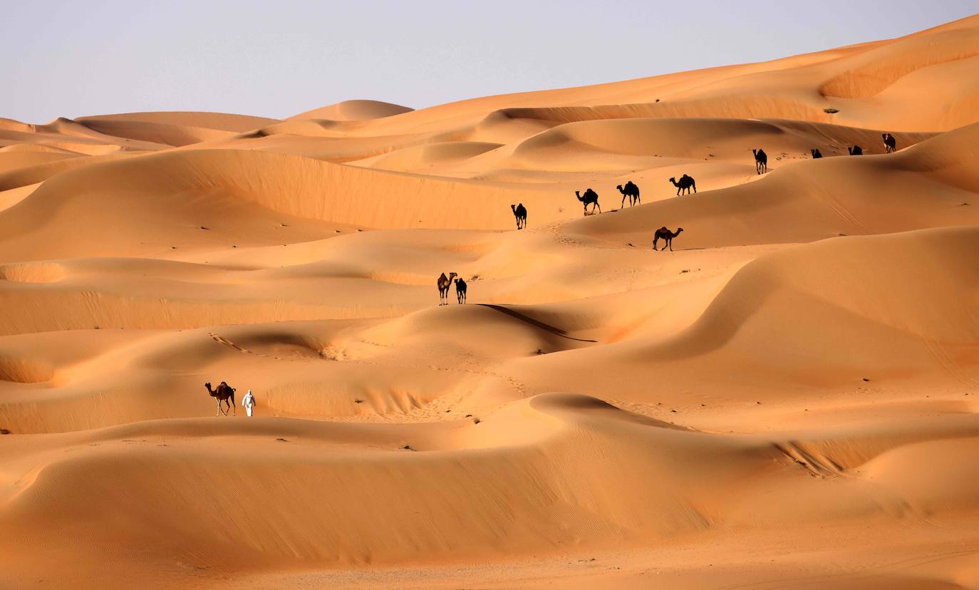 Las dunas de arena del desierto de Liwa, a unos 250 kilómetros del emirato del Golfo de Abu Dabi, es el lugar escogido por algunos aficionados a la cetrería para entrenar a los halcones. 