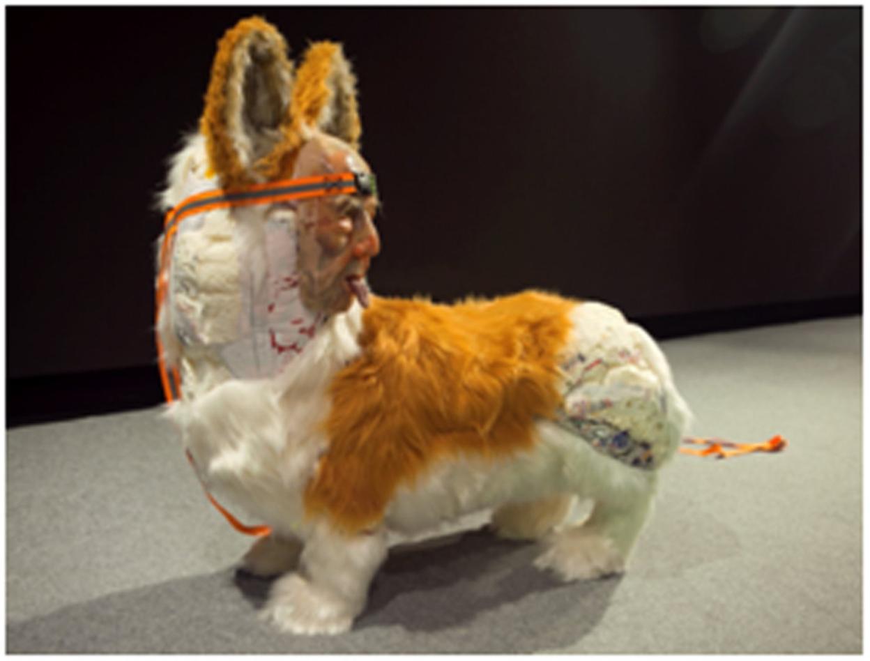 Proyecto 'Puppy purée', de Dela Delos.