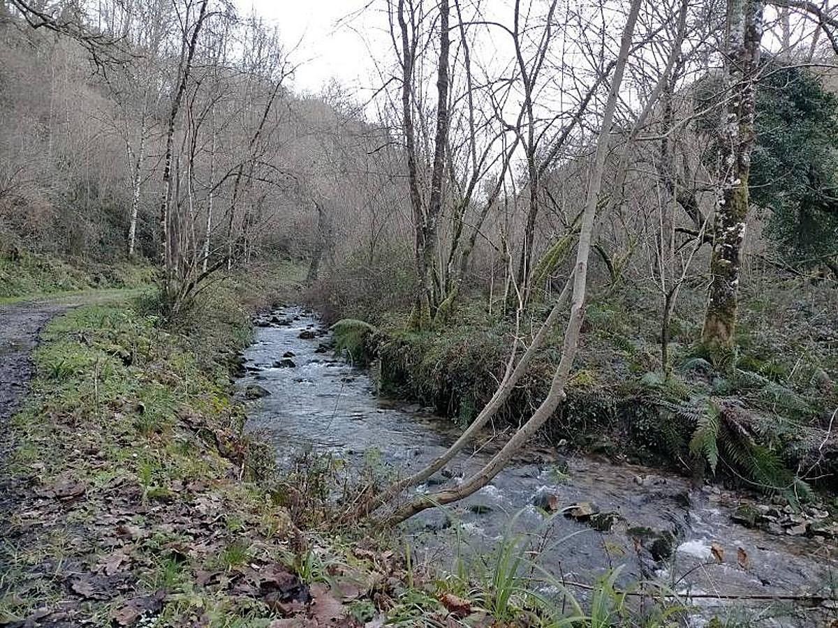 Fotos: Un paseo hasta la Cascada del Chorrón