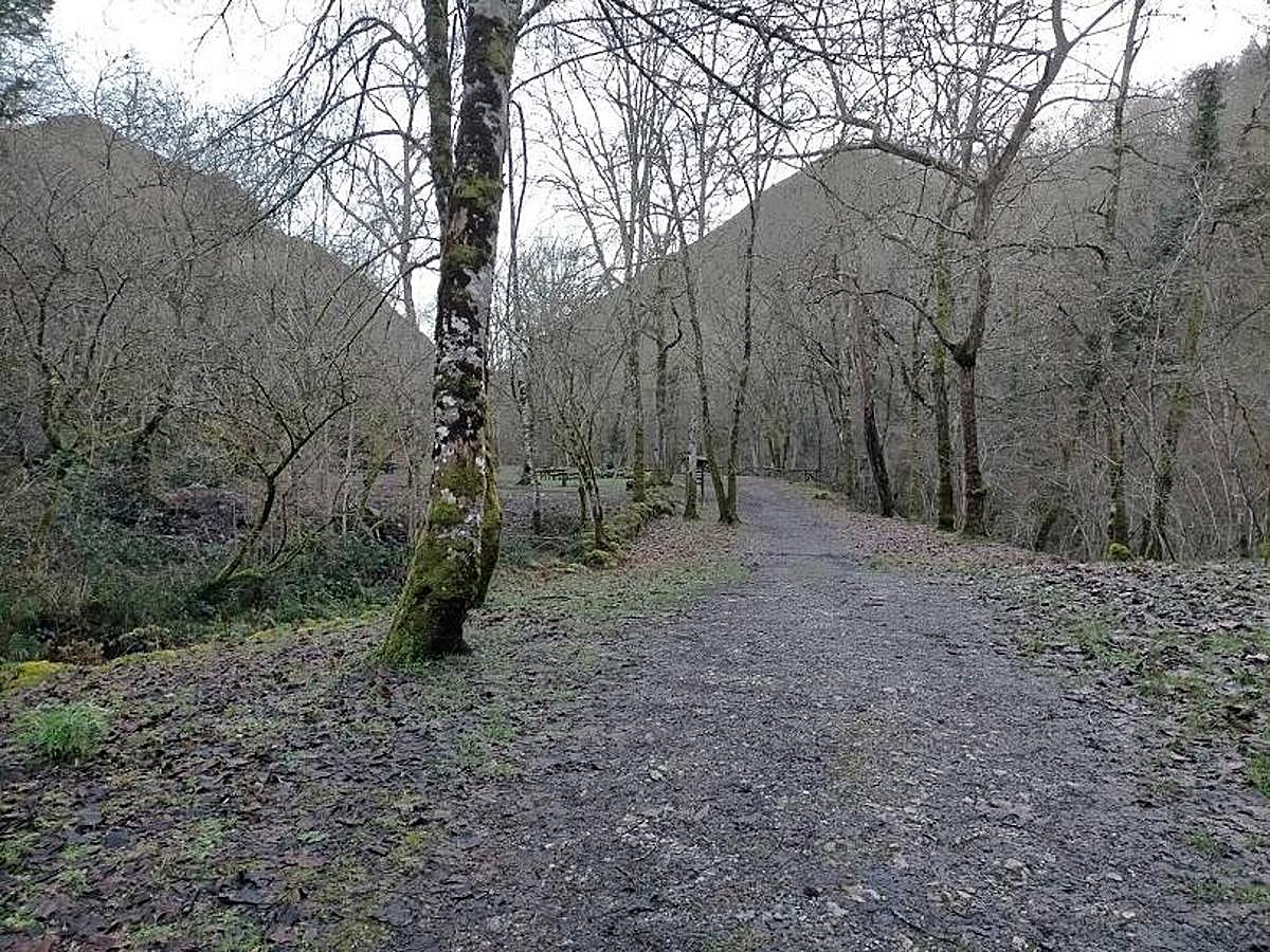 Fotos: Un paseo hasta la Cascada del Chorrón