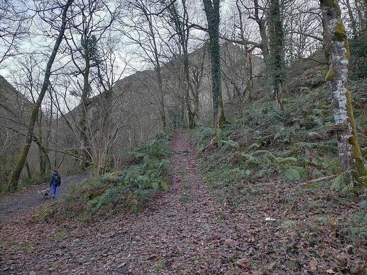 Fotos: Un paseo hasta la Cascada del Chorrón