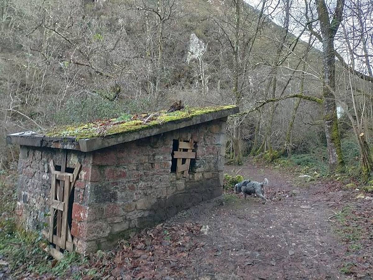 Fotos: Un paseo hasta la Cascada del Chorrón