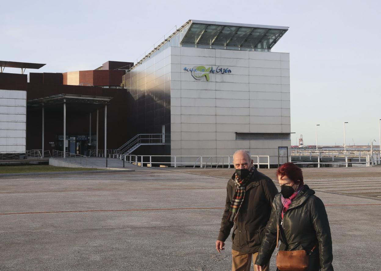 El Acuario, inaugurado en 2006, será objeto de una profunda transformación interior y exterior. 