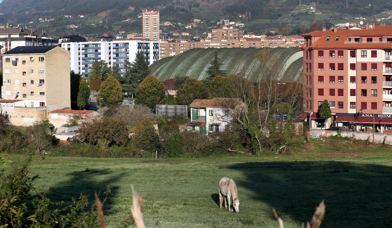 Solar en la zona de Mercadín-Rayo, en La Tenderina