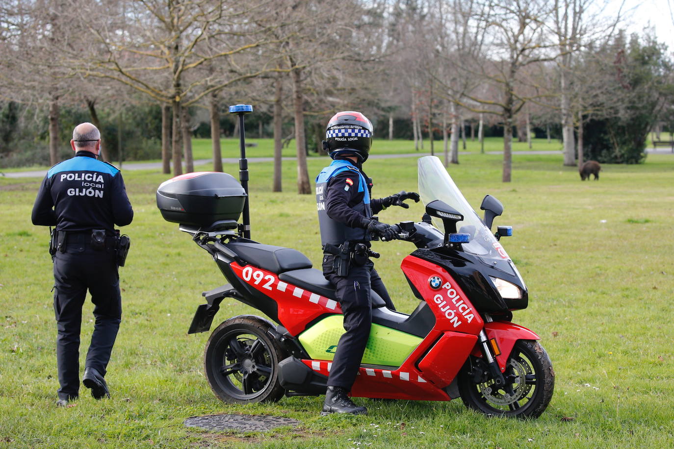 El animal, que campaba a sus anchas por un parque de Gijón, obligó a desplegar un amplio dispositivo policial.