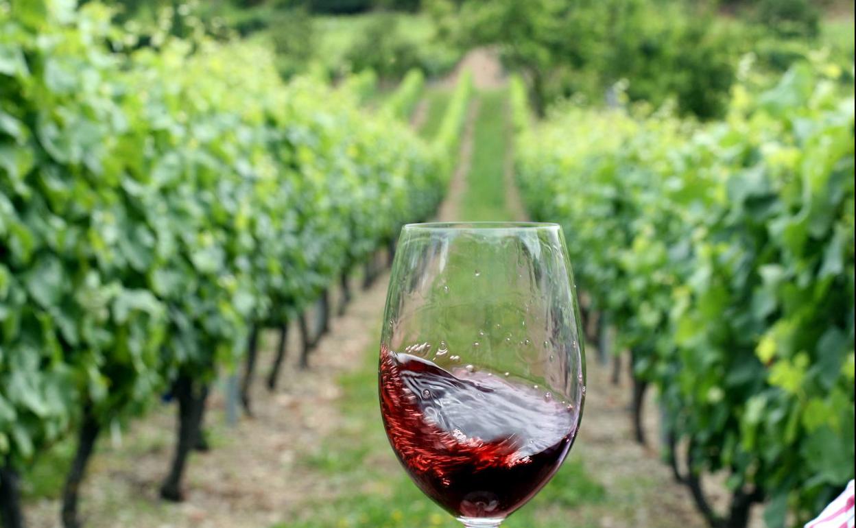 Las tendencias vinícolas de 2021 