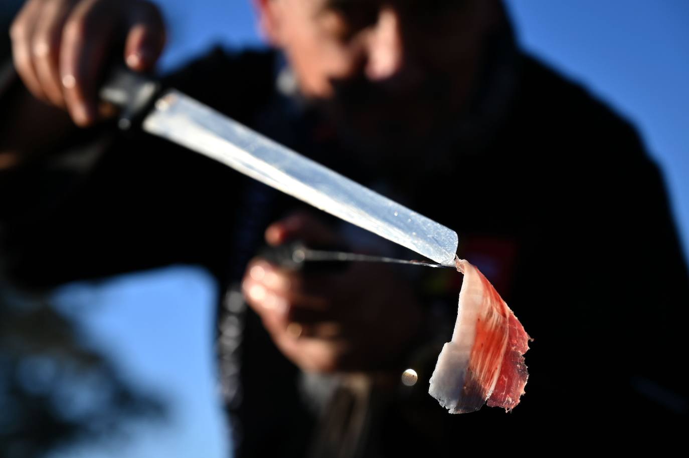 El jamón ibérico es el nombre que se da exclusivamente a los jamones procedentes del cerdo ibérico, o raza negra ibérica. El secreto de su sabor se debe a la dieta de bellotas de los cerdos. Los animales de las imágenes se alimentan en un amplio campo verde en Membrio, cerca de Cáceres. 