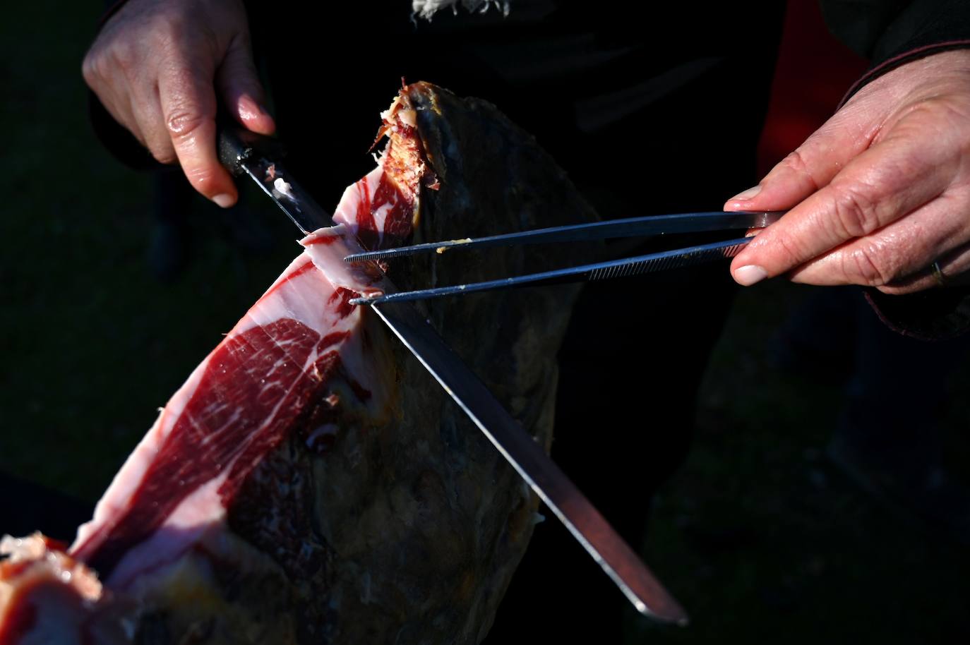 El jamón ibérico es el nombre que se da exclusivamente a los jamones procedentes del cerdo ibérico, o raza negra ibérica. El secreto de su sabor se debe a la dieta de bellotas de los cerdos. Los animales de las imágenes se alimentan en un amplio campo verde en Membrio, cerca de Cáceres. 