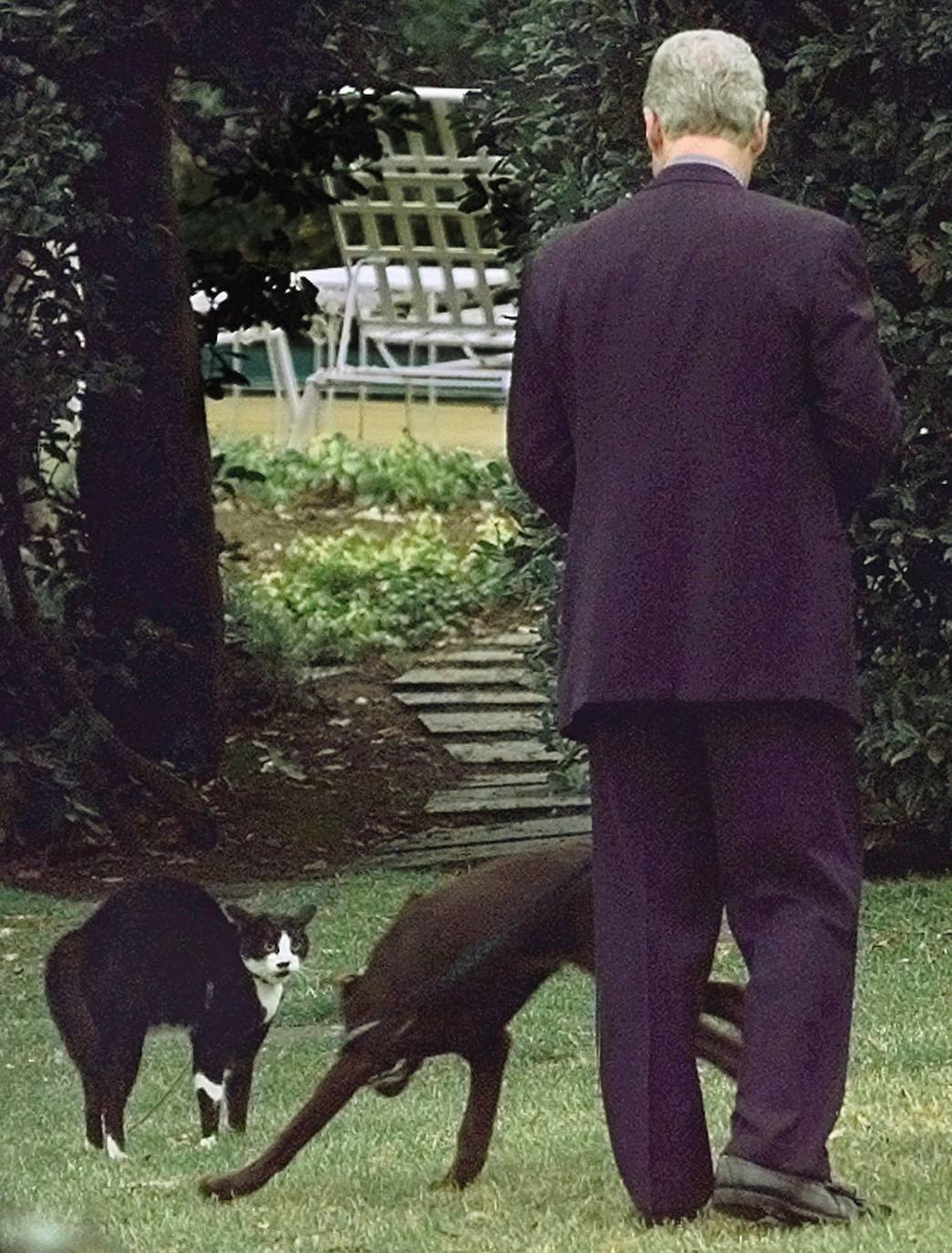 Bill Clinton trata de presentar a su gato Socks y a su perro Buddy
