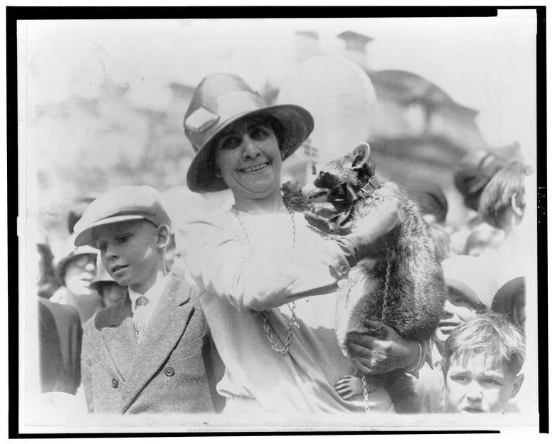 Grace Coolidge, esposa del presidente Calvin Coolidge, muestra su mapache mascota Rebecca. 