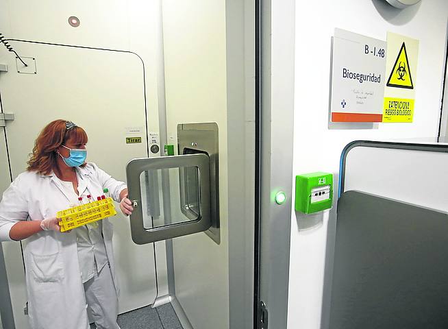 Las muestras de PCR se introducen en la zona de bioseguridad del laboratorio de Microbiología.