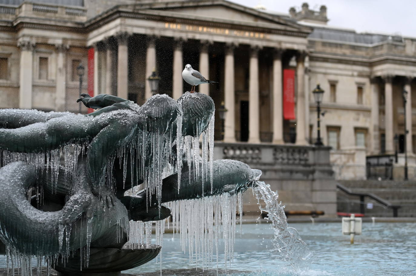 La nieve se ha dejado notar en los últimos días en distintos países como Alemania, Holanda o Estados Unidos. Las condiciones climatológicas, además de dejar unas imágenes llamativas, también han provocado alteraciones en la vida de sus ciudadanos.