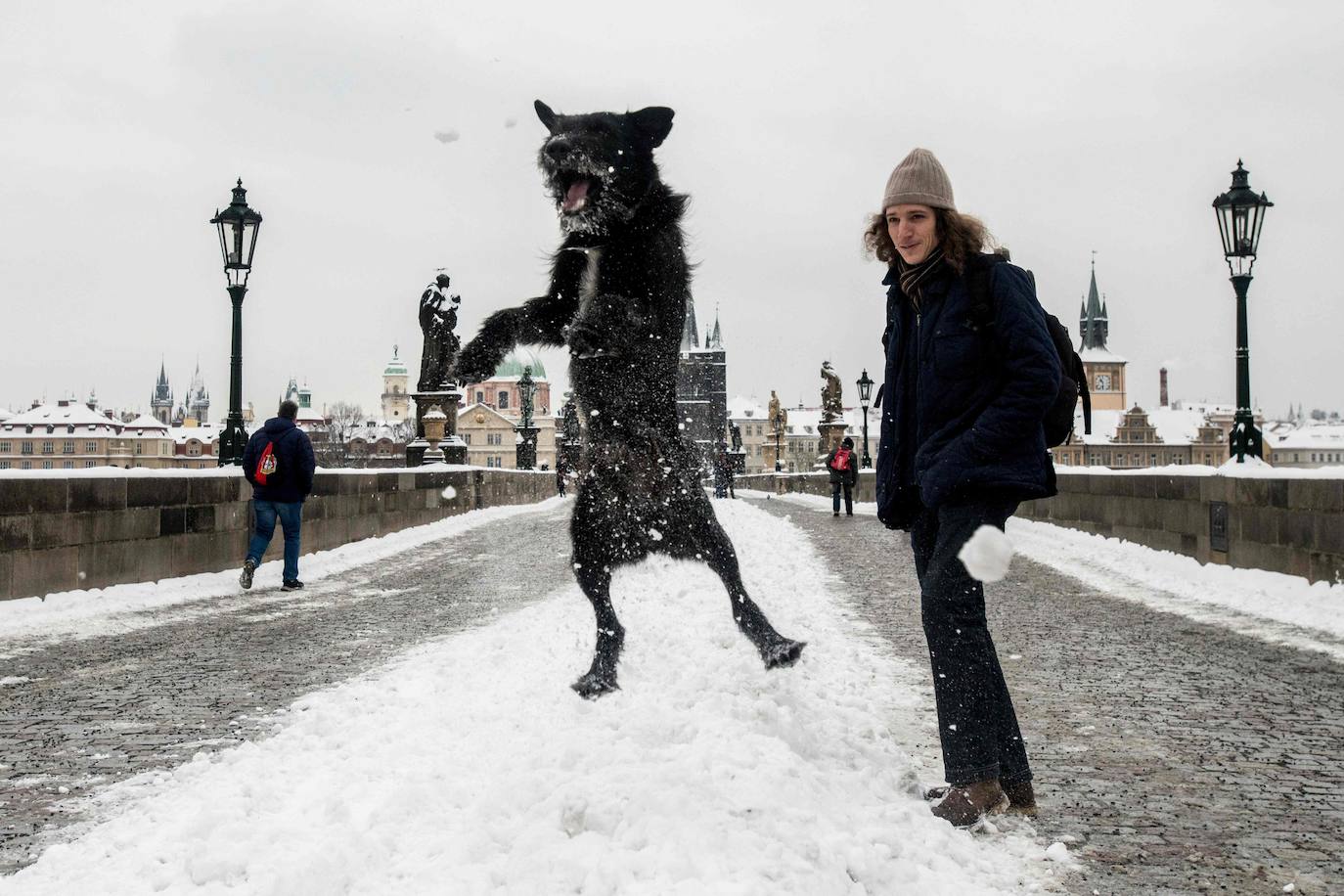 La nieve se ha dejado notar en los últimos días en distintos países como Alemania, Holanda o Estados Unidos. Las condiciones climatológicas, además de dejar unas imágenes llamativas, también han provocado alteraciones en la vida de sus ciudadanos.