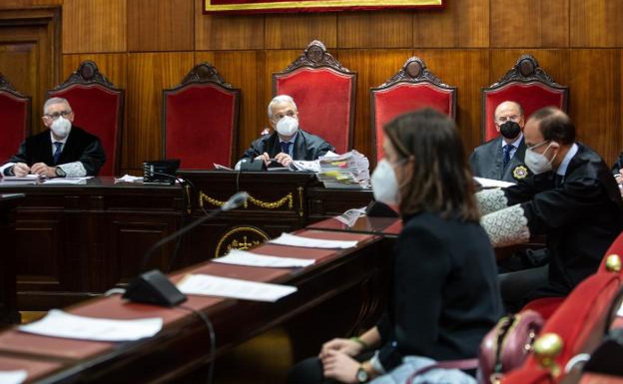 El Tribunal Superior de Justicia de Asturias acogió el pasado 9 de febrero la vista del recurso de apelación. / PABLO LORENZANA