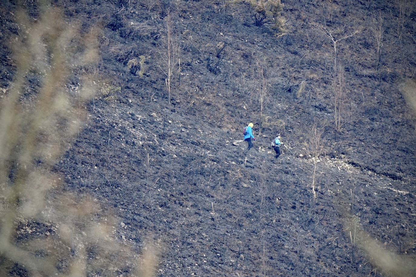 El fuego originado en el monte Priena afectó a 120 hectáreas y obligó a los bomberos a trabajar en su extinción toda la noche.  Pinche aquí para leer la crónica de todo lo occurido .