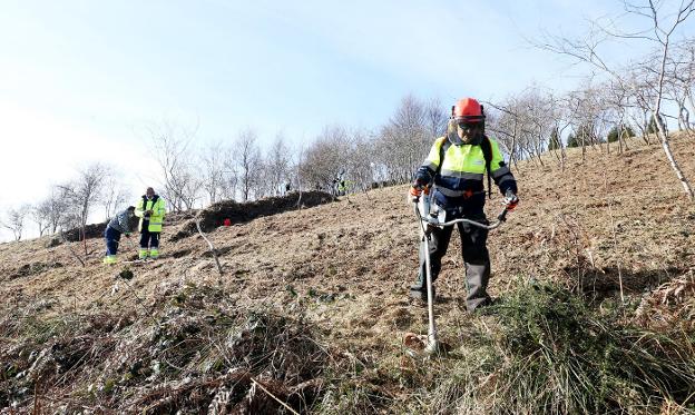 Los operarios del plan de empleo municipal desbrozan una parcela de El Naranco. 