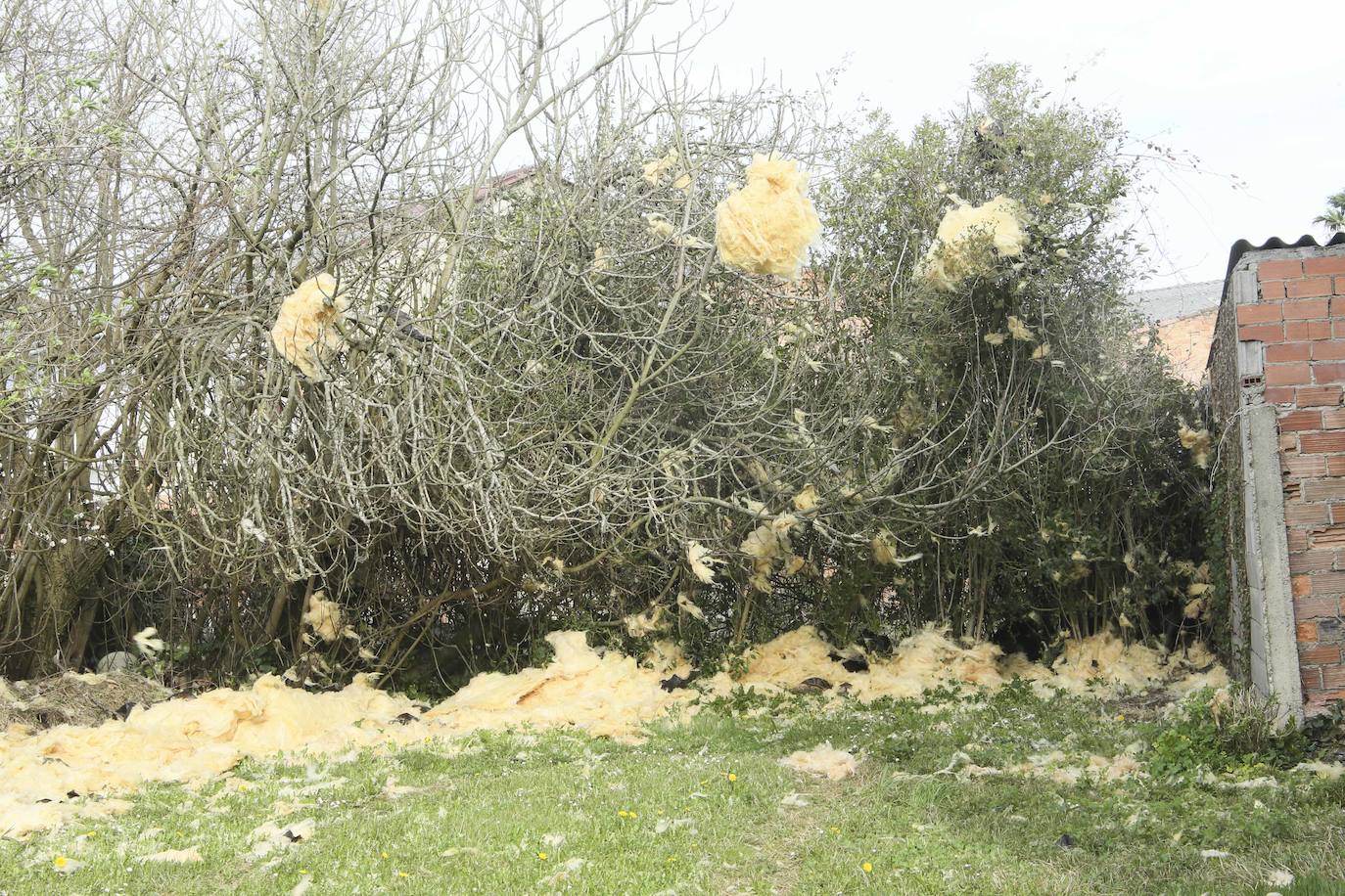 La región estará en alerta hasta el domingo, cuando las temperaturas bajarán bruscamente | La Policía Local de Gijón cierra los principales accesos al parque Isabel La Católica | El viento vuela el techo del polideportivo municipal de El Berrón