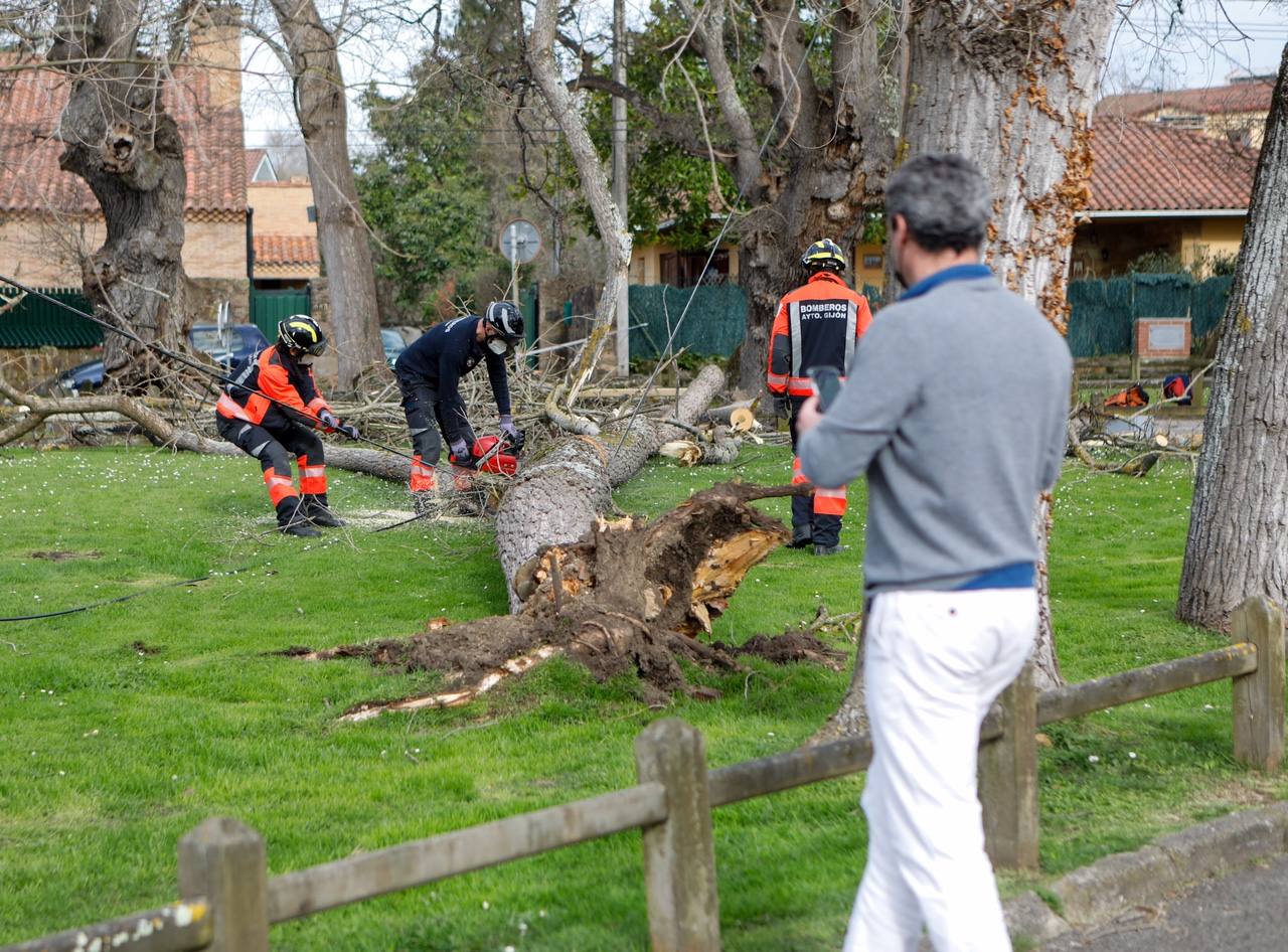 La región estará en alerta hasta el domingo, cuando las temperaturas bajarán bruscamente | La Policía Local de Gijón cierra los principales accesos al parque Isabel La Católica | El viento vuela el techo del polideportivo municipal de El Berrón