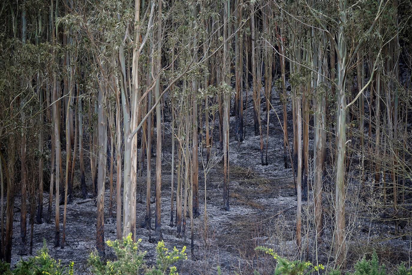 El incendio originado el viernes entre Llanes y Ribadesella, aún con focos activos, provocó ayer una noche de terror en el polígono de Guadamía. Las llamas llegaron hasta el mismo límite del área industrial, donde los propietarios de las naves colindantes a la ladera vivieron momentos de «mucho miedo».