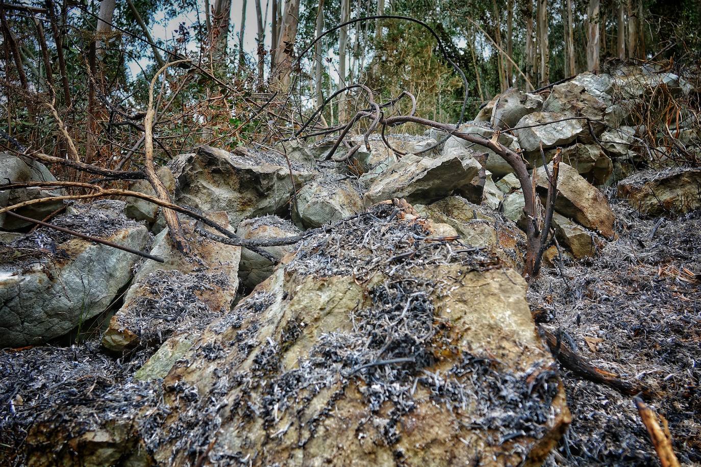 El incendio originado el viernes entre Llanes y Ribadesella, aún con focos activos, provocó ayer una noche de terror en el polígono de Guadamía. Las llamas llegaron hasta el mismo límite del área industrial, donde los propietarios de las naves colindantes a la ladera vivieron momentos de «mucho miedo».